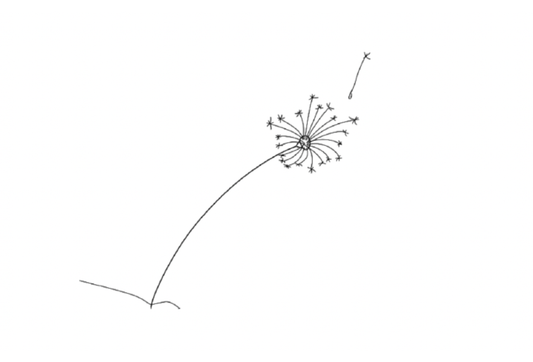I wish (A poem)