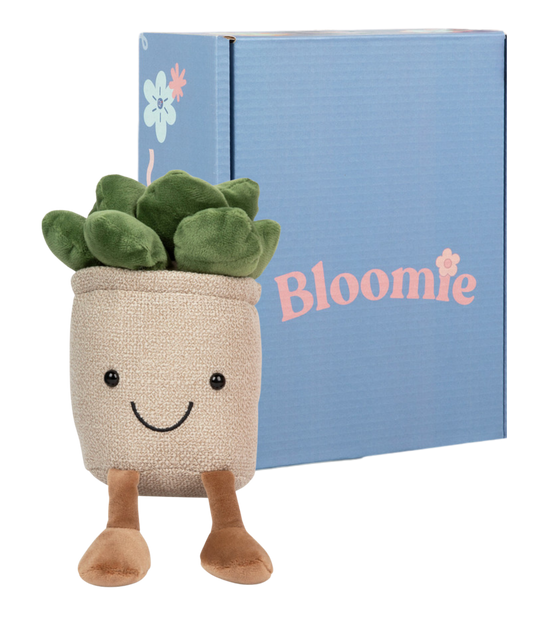 Bart with custom Bloomie Box