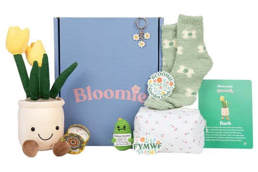 Bloomie Better Days Box - Premium