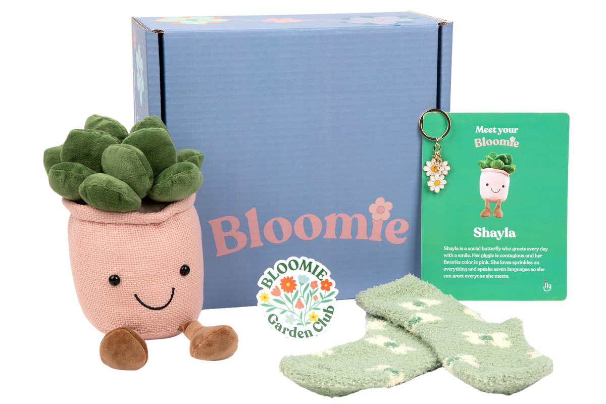 Bloomie Breakup Box - Basic