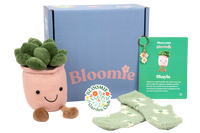 Bloomie Breakup Box - Basic