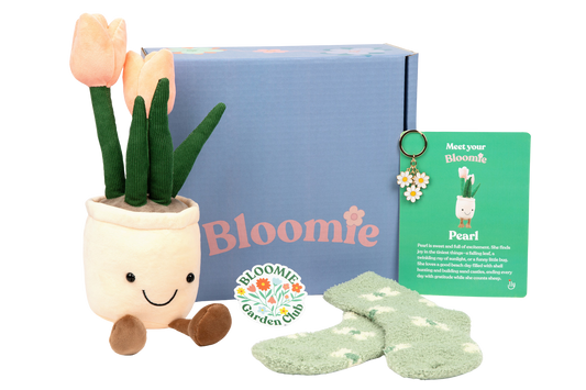 Bloomie #DidThat Box - Basic