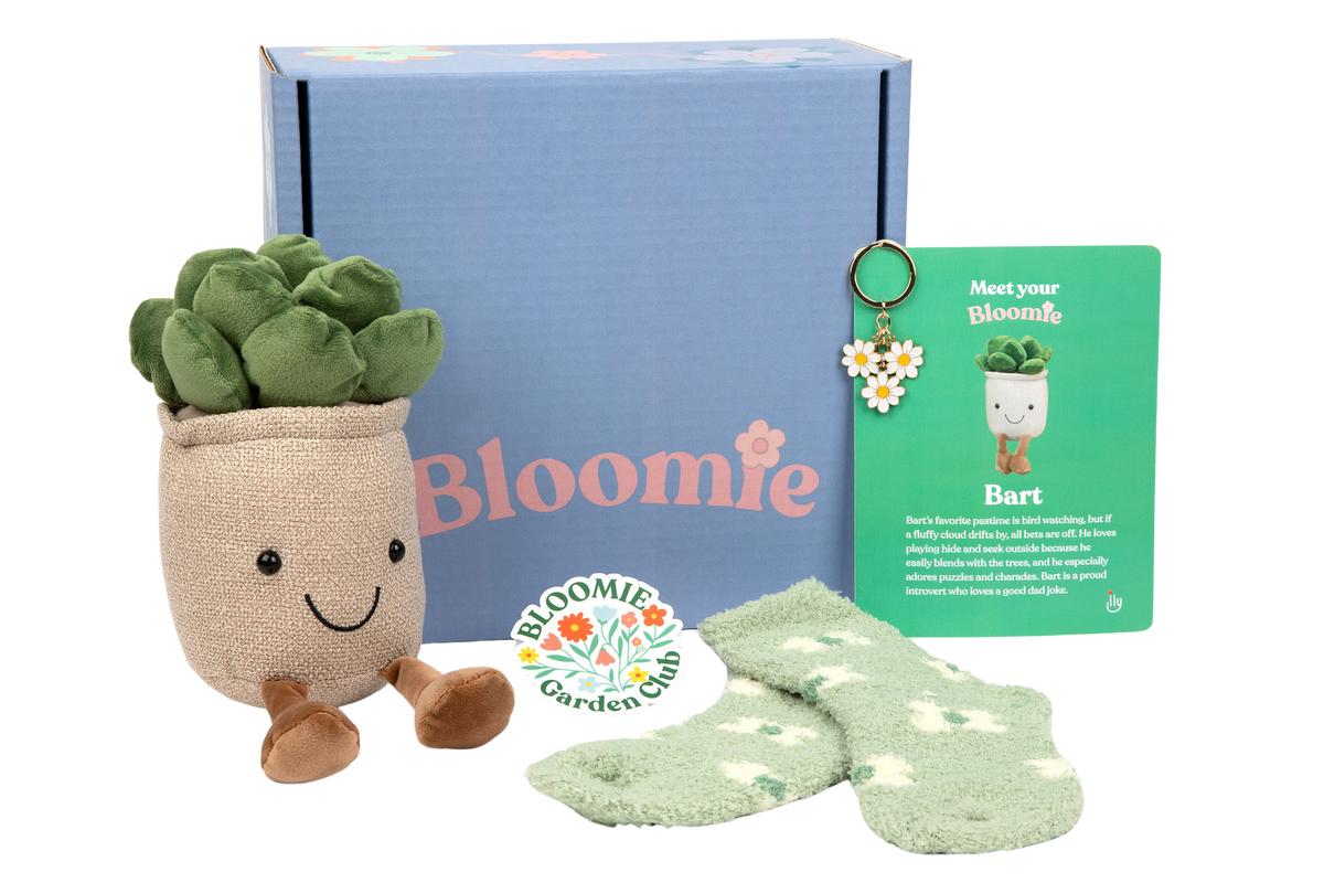 Bloomie Get Well Box gift for teens and young adults - Basic