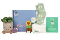Bloomie Get Well Box - Premium gift boxes for teens and young adults