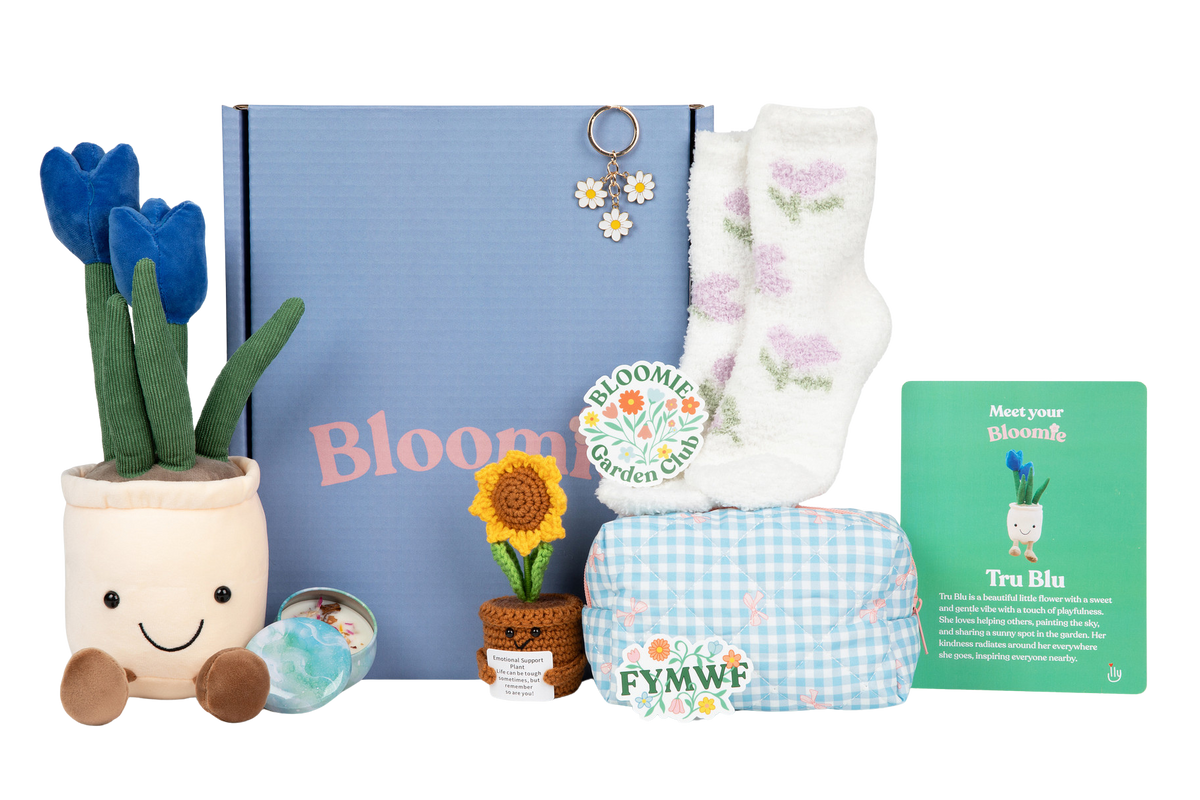 Bloomie Homesick Hearts Box - Premium thoughtful gift boxes for teens and young adults