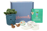 Bloomie New Leaf Box - Basic