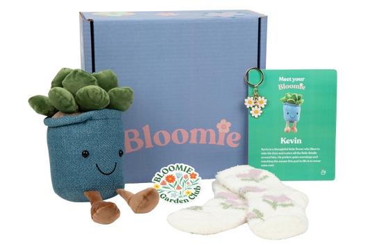 Bloomie New Leaf Box - Basic