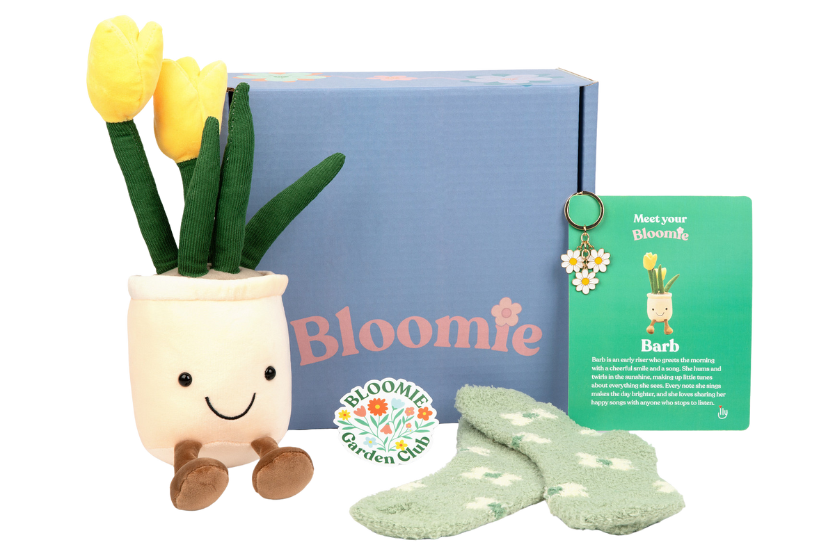 Bloomie Better Days Box - Basic