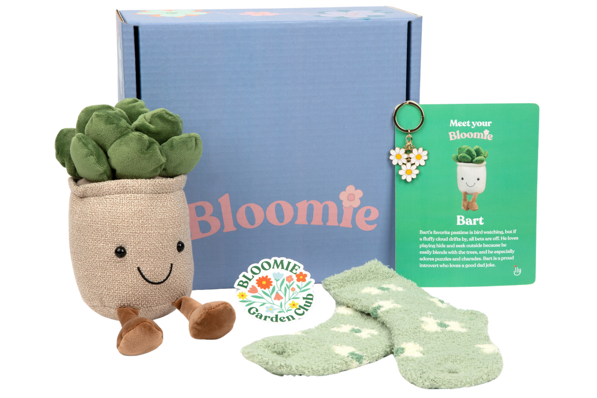Get Well Bloomie Box featuring Bart-Basic