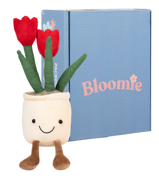 Tulee with custom Bloomie Box