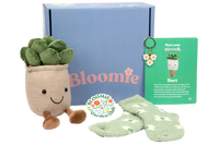 Bloomie Get Well Box